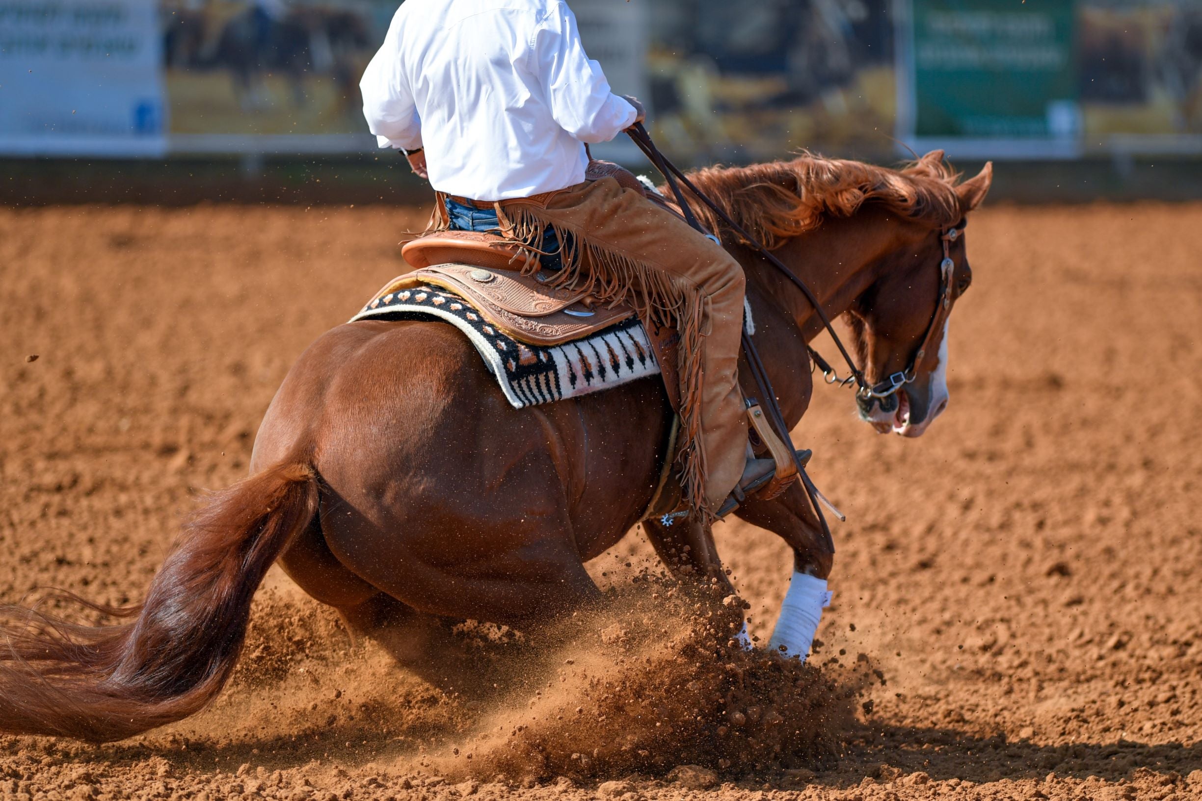 Saddle Pads – Saratoga Feed & Grain