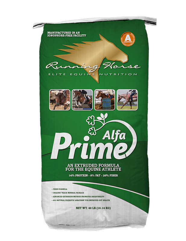 Running Horse Alfa Prime – Saratoga Feed & Grain
