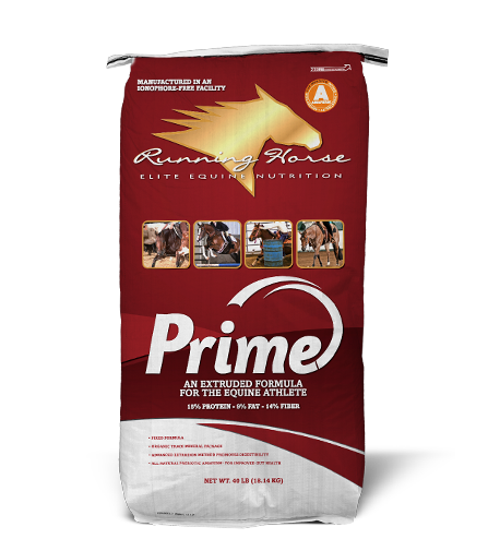 Running Horse Prime – Saratoga Feed & Grain