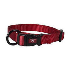 Load image into Gallery viewer, Hamilton Fully Adjustable Dog Collar Assorted Colors & Sizes