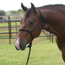Load image into Gallery viewer, Professional's Choice EQ Rope Halter

