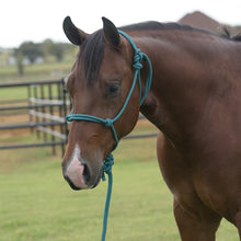 Load image into Gallery viewer, Professional's Choice EQ Rope Halter
