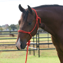 Load image into Gallery viewer, Professional's Choice EQ Rope Halter
