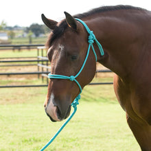 Load image into Gallery viewer, Professional's Choice EQ Rope Halter
