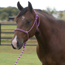 Load image into Gallery viewer, Professional's Choice EQ Rope Halter
