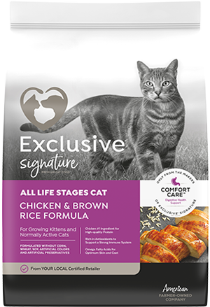Exclusive Select All Life Stages Cat Food Chicken & Brown Rice Formula 15LB BAG