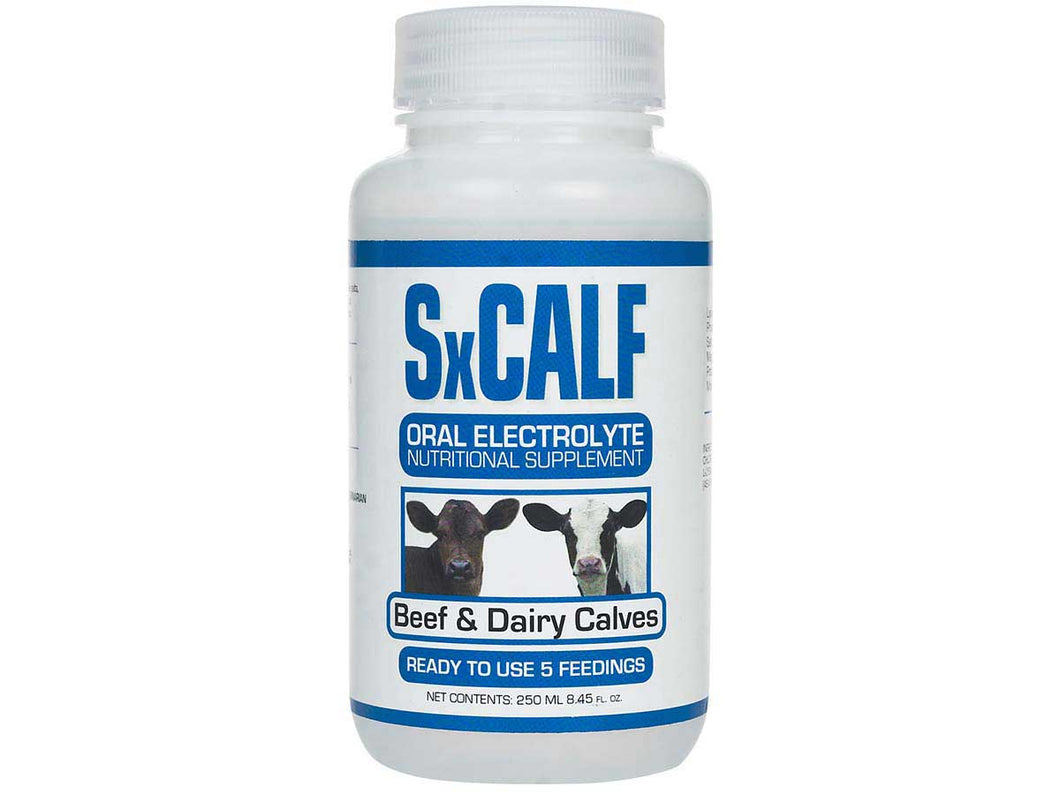 SxCalf Oral Electrolyte for Beef & Dairy Calves
