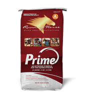 Running Horse Prime (PICK UP ONLY)