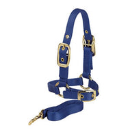 Sheep Halter w/ Lead